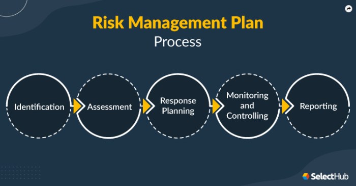 Risk management plan example examples business pdf comprehensive Risk management plan example examples business pdf comprehensive