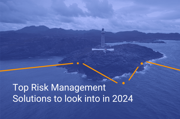 Top risk management strategies 2024